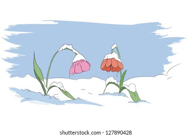 winter frozen flower  scene