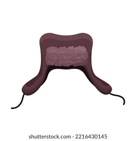 Winter fur hat isolated. Ear-flapped hat. Flat vector illustration.