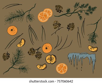 Winter gifts of nature that create a New Year mood