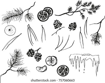 Winter gifts of nature that create a New Year mood