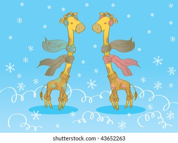 Winter Giraffes. Vector illustration of a couple of giraffes wearing 2 scarves each and thick knitted sweaters.