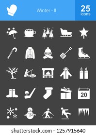 Winter Glyph Icons