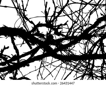 Winter grape plant vector background. See similar pictures in my portfolio.