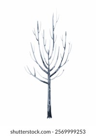 Winter Grey Watercolor Tree Trunk Illustration
