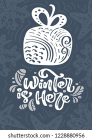 Winter is Here calligraphy lettering text. Hand drawn vector illustration of a winter giftbox with floral elements. Xmas scandinavian greeting card gift