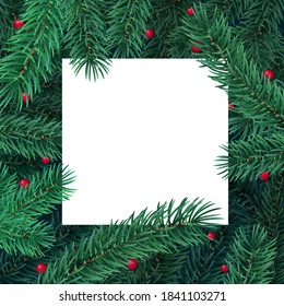 Winter holiday background with blank white card and border frame of Christmas tree branches and berries. Vector template for New year card, banner, party poster and landing header.