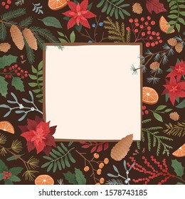 Winter holiday flat vector square background. Poinsettia, mistletoe, ilex, mountain ash, cones, spruce and coniferous branches border on black backdrop. Christmas botanical illustration.