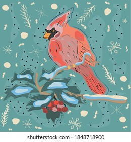 Winter Holiday Greeting Card with Cute Hand Drawn Cardinal Bird on the Rowan Tree. Pastel Blue Background with Spruce Branches and snowflakes.