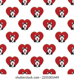 Winter Husky dog with paws pattern, Valentine's day heart wallpaper. Love heart with pet head holiday texture. Dog face Holding Heart Cartoon square background. St Valentine's day present paper.