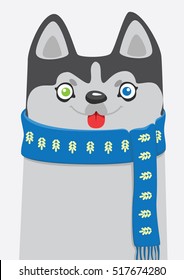 Winter husky in the scarf