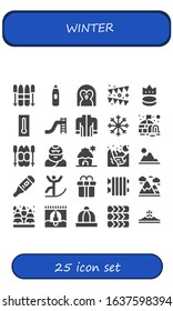 winter icon set. 25 filled winter icons.  Simple modern icons such as: Ski, Thermometer, Penguin, Garland, Puck, Toboggan, Jacket, Snowflake, Igloo, Troglodyte, Cabin, Glacier