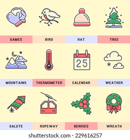 Winter Icons