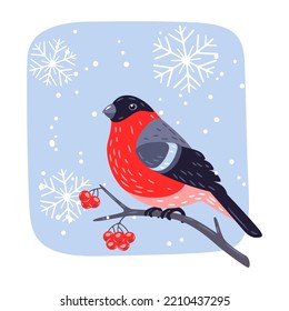 Winter illustration of bird bullfinch and rowan berries. Merry Christmas and Happy New Year card.