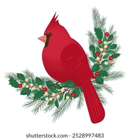 Winter illustration of bird Red Cardinal. Bird sitting on a tree. For cards, invitations, posters