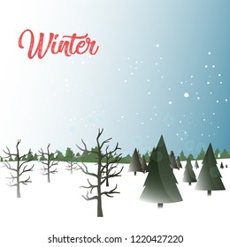 Winter - Illustration Design