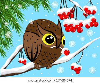 Winter image with red berries and owl