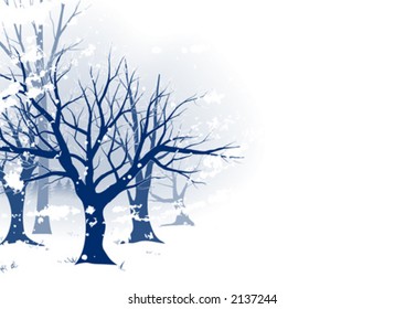 Winter landscape