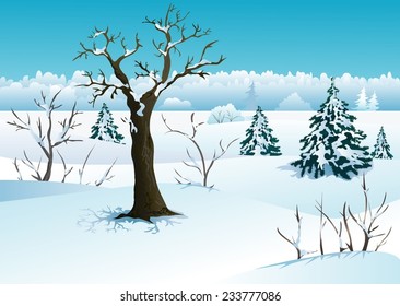 Winter landscape