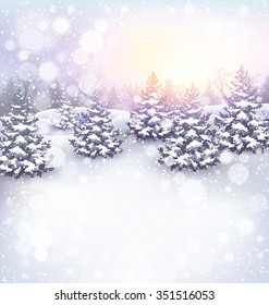 Winter Landscape Background with Christmas Trees in Snow and Sun Light