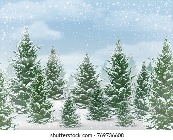 Winter landscape. The background of the forest with the trees against the sky with snow.