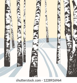 
Winter landscape with birches and ski track. Hand-drawn vector background. Illustration of nature.