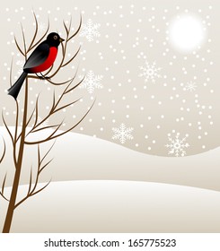 winter landscape with a bird bullfinch, vector illustration