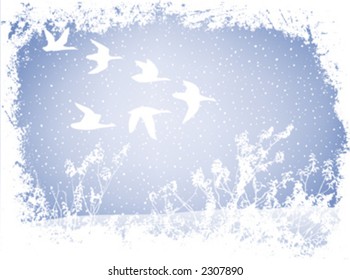 winter landscape with birds flying