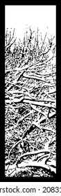 Paisaje invernal gráficos en blanco y negro de ramas arbóreas en la nieve. Bosque de fondo. Ilustración del vector