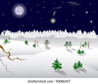 Winter landscape. Christmas star on a night sky. Vector illustration.