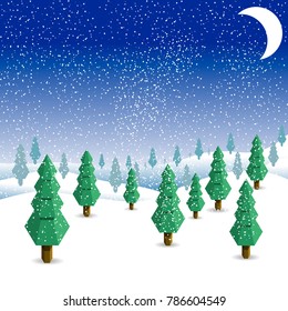Winter landscape with Christmas tree, snow, and sky.