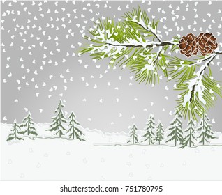 Winter landscape Conifer Branch Pine  with pine cones with snow christmas theme natural background vintage vector illustration editable hand draw