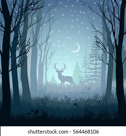 Winter Landscape With Deer In The Forest At Night Background.Vector Illustration