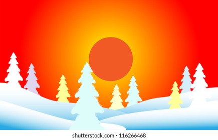 Winter landscape. Fir tree forest at sunset.