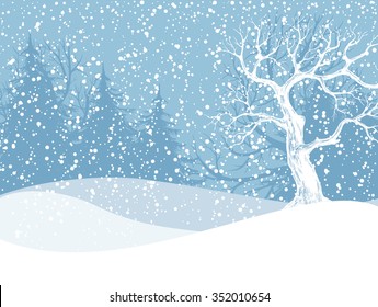 Winter landscape with fir trees and falling snow. Christmas illustration. Vector illustration contains gradient meshes.
