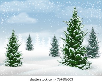 Winter Landscape With Fir Trees. Frosty Day In A Pine Forest. Vector Background.