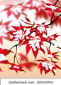 Winter Landscape & Maple leaves