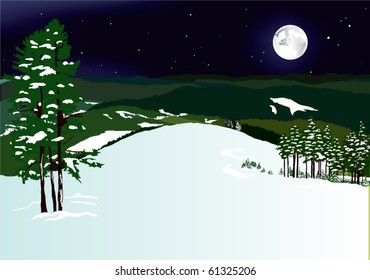 winter landscape at midnight