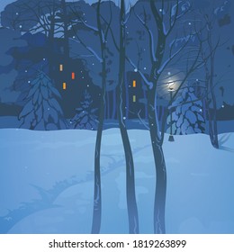 Winter landscape, night in a snowy park, created by imagination in the format of vector graphics.