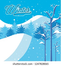 winter landscape scene christmas
