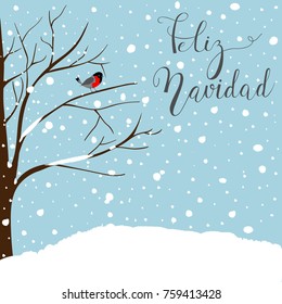 Winter Landscape Scene. New Year Greeting Card. Forest Falling Snow Red Capped Robin Bird Sitting on Tree. Blue Sky. Unique Feliz Navidad Hand Brush Lettering in Spanish Merry Christmas