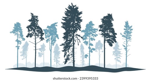 Winter landscape, silhouette of coniferous forest, beautiful pines and spruce trees. Vector illustration