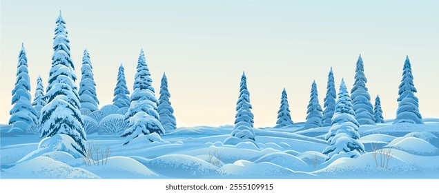 Winter landscape, with standing in the foreground snow-covered fir trees illuminated in evening or morning light. Vector  Illustration.