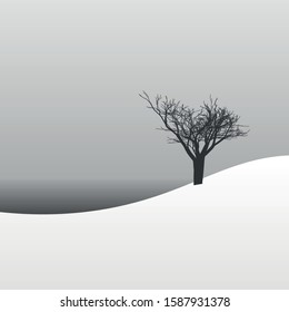 winter landscape trees in the snow background