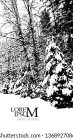 Winter landscape. trees in the snow. Monochrome silhouette. Vector