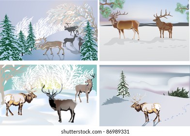 winter landscapes with deers illustration