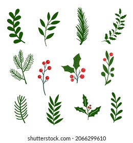 Winter Leaves Christmas Tree Green Leaf Collection Flat Vector