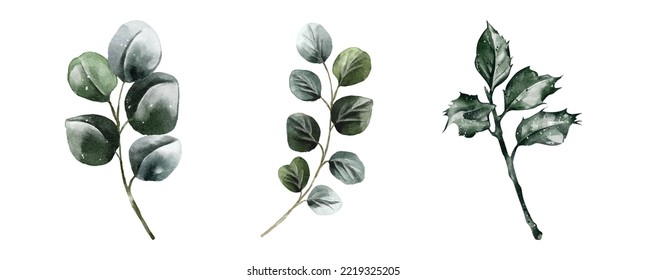 Der Winter hinterlässt ein Aquarellelement, Vektorset. Sammlung botanische Vektorgrafik einzeln auf weißem Hintergrund geeignet für Hochzeitseinladung, speichern Sie das Datum, danke oder Grußkarte.