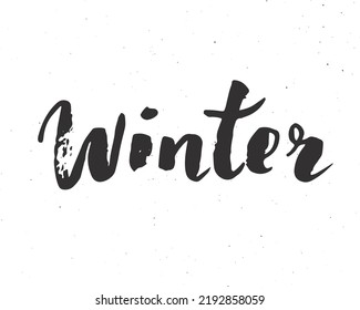 Winter lettering word, textured calligraphic sign. Vector illustration.