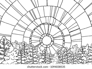 Winter line art design for coloring book. Pine trees and abstract sun. Snowy landscape