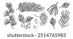 Winter line icon, tree, fir and pine, holly berry, sprig and branch. Christmas or New Year evergreen set outline design, holiday decoration, black leaf and twig. Xmas nature vector illustration